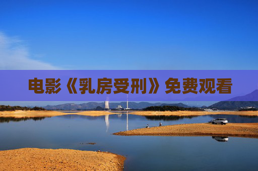 电影《乳房受刑》免费观看
