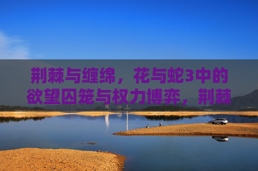 荆棘与缠绵，花与蛇3中的欲望囚笼与权力博弈，荆棘与缠绵，花与蛇3中的欲望囚笼与权力博弈
