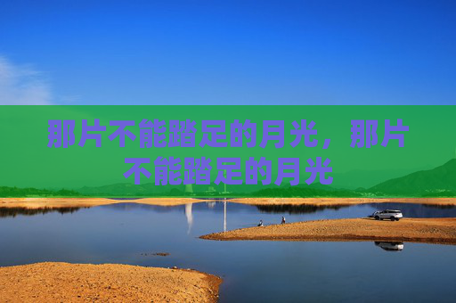 那片不能踏足的月光，那片不能踏足的月光