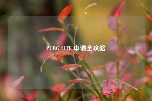PUBG LITE 申请全攻略