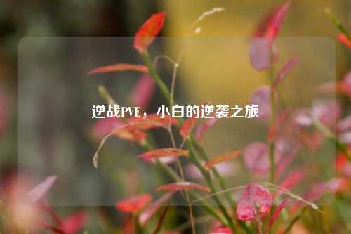 逆战PVE，小白的逆袭之旅