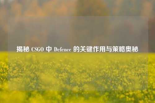 揭秘 CSGO 中 Defence 的关键作用与策略奥秘