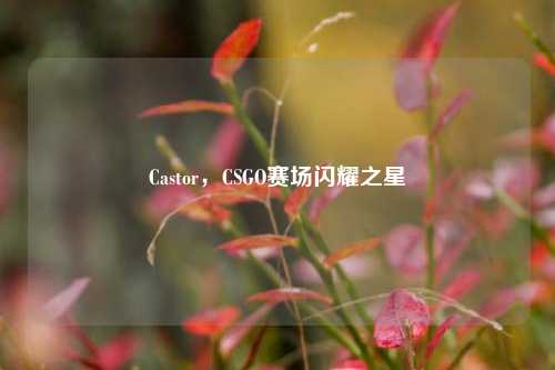 Castor，CSGO赛场闪耀之星
