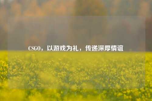 CSGO，以游戏为礼，传递深厚情谊