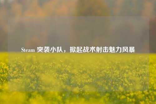 Steam 突袭小队，掀起战术射击魅力风暴