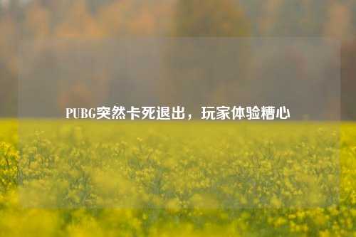 PUBG突然卡死退出，玩家体验糟心