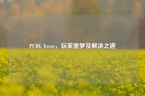 PUBG Error，玩家噩梦及解决之道