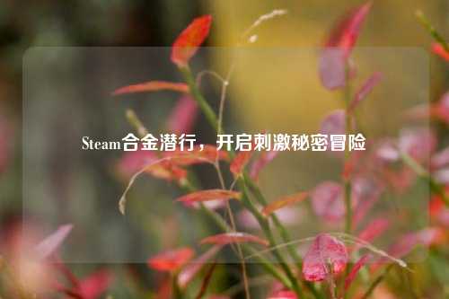 Steam合金潜行，开启刺激秘密冒险