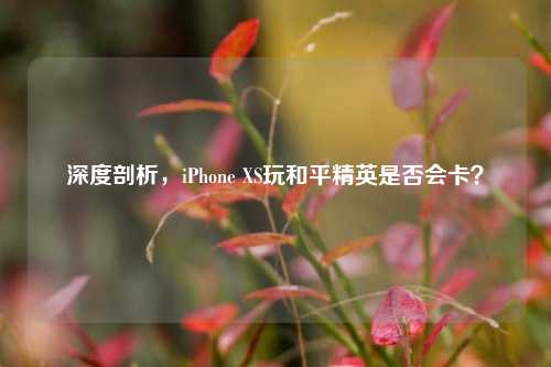深度剖析，iPhone XS玩和平精英是否会卡？