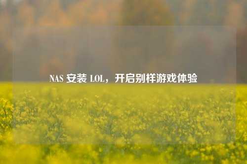 NAS 安装 LOL,开启别样游戏体验