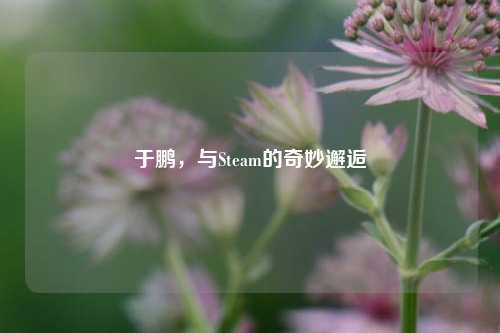 于鹏，与Steam的奇妙邂逅