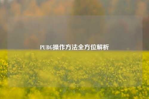 PUBG操作方法全方位解析