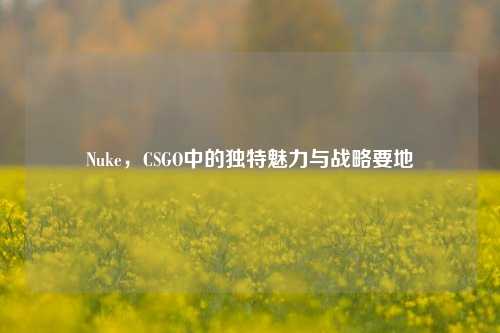 Nuke，CSGO中的独特魅力与战略要地