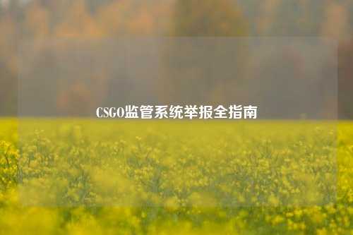 CSGO监管系统举报全指南