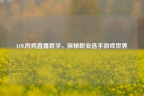 LOL肉鸡直播教学，探秘职业选手游戏世界