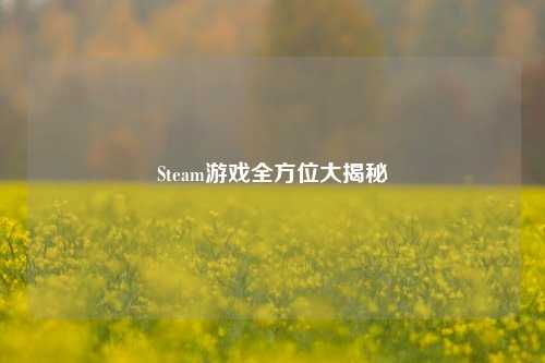 Steam游戏全方位大揭秘