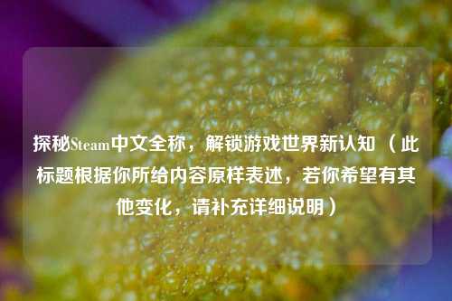 探秘Steam中文全称,解锁游戏世界新认知 (此标题根据你所给内容原样表述,若你希望有其他变化,请补充详细说明)