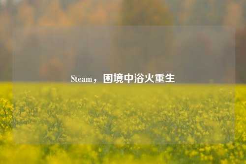 Steam，困境中浴火重生