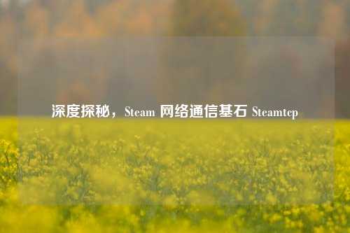 深度探秘，Steam 网络通信基石 Steamtcp
