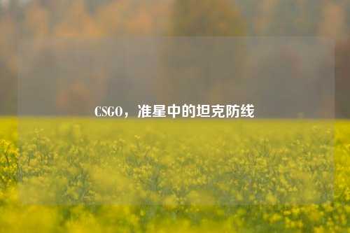 CSGO，准星中的坦克防线