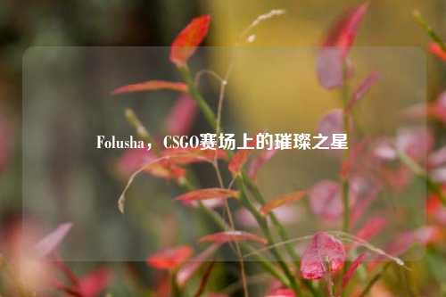 Folusha，CSGO赛场上的璀璨之星