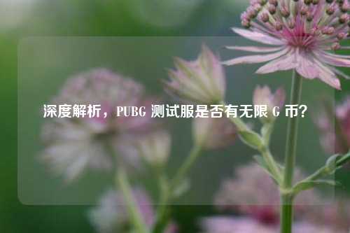 深度解析,PUBG 测试服是否有无限 G 币?