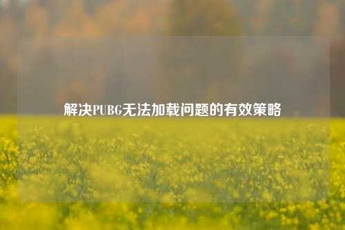 解决PUBG无法加载问题的有效策略