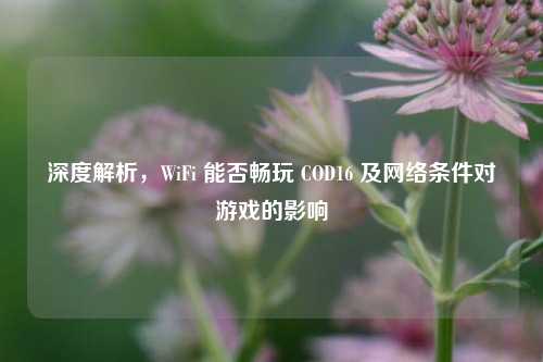 深度解析，WiFi 能否畅玩 COD16 及网络条件对游戏的影响