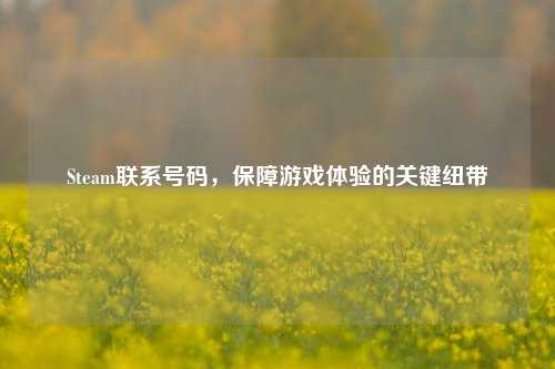 Steam联系号码，保障游戏体验的关键纽带