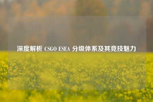 深度解析 CSGO ESEA 分级体系及其竞技魅力