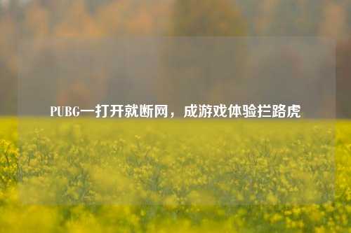 PUBG一打开就断网，成游戏体验拦路虎
