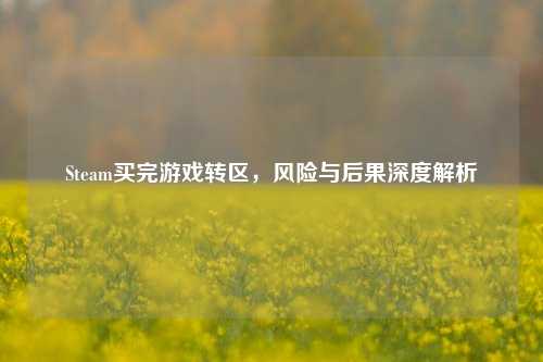 Steam买完游戏转区，风险与后果深度解析