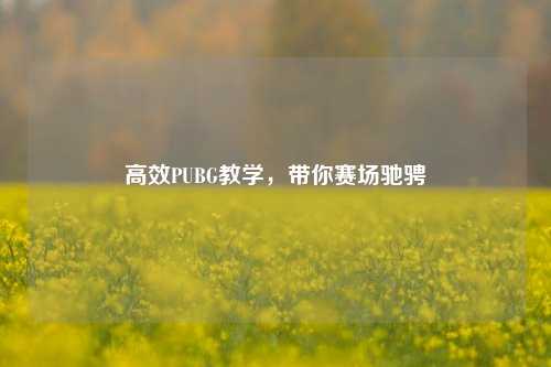 高效PUBG教学，带你赛场驰骋