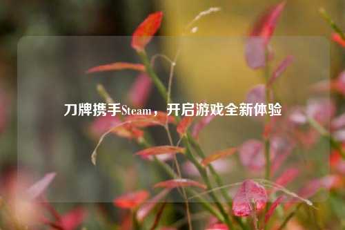 刀牌携手Steam,开启游戏全新体验
