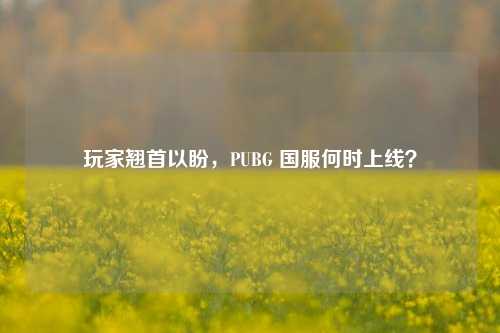 玩家翘首以盼,PUBG 国服何时上线?