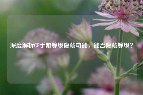 深度解析CF手游等级隐藏功能，能否隐藏等级？