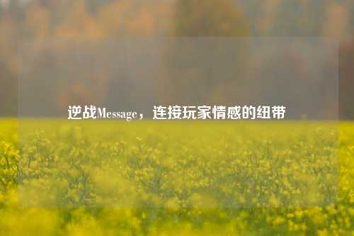逆战Message,连接玩家情感的纽带