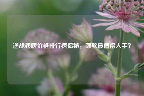 逆战翅膀价格排行榜揭秘，哪款最值得入手？
