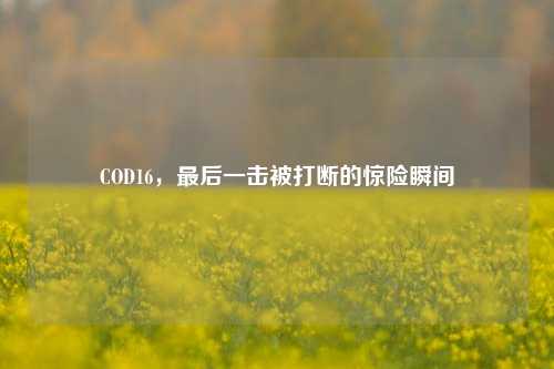 COD16,最后一击被打断的惊险瞬间
