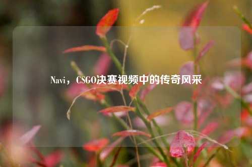 Navi，CSGO决赛视频中的传奇风采