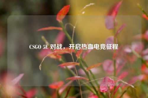 CSGO 5E 对战，开启热血电竞征程