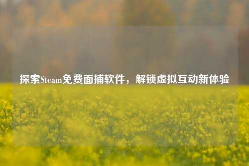 探索Steam免费面捕软件，解锁虚拟互动新体验