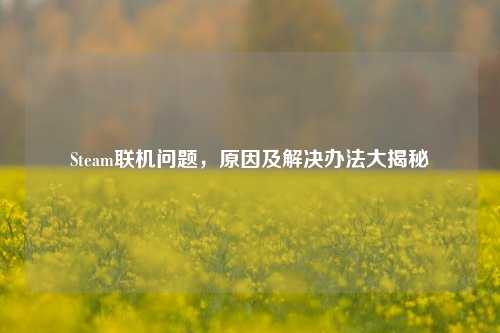 Steam联机问题，原因及解决办法大揭秘