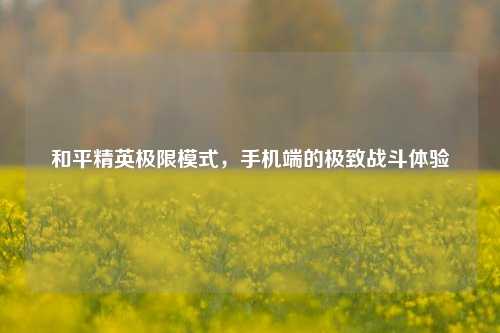 和平精英极限模式,手机端的极致战斗体验