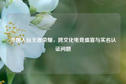 外国人玩王者荣耀，跨文化电竞盛宴与实名认证问题
