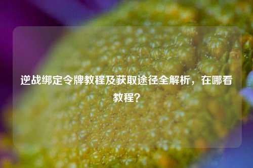 逆战绑定令牌教程及获取途径全解析,在哪看教程?