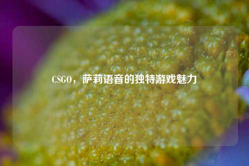 CSGO，萨莉语音的独特游戏魅力