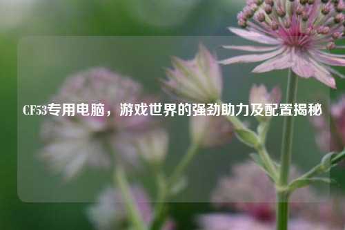 CF53专用电脑，游戏世界的强劲助力及配置揭秘