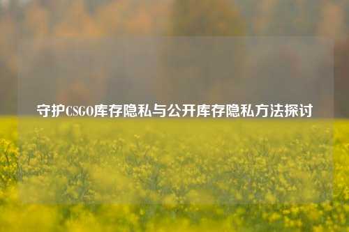 守护CSGO库存隐私与公开库存隐私方法探讨