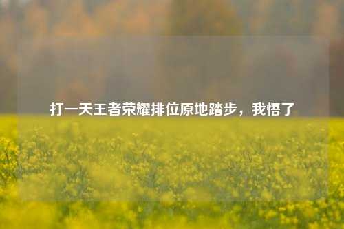 打一天王者荣耀排位原地踏步，我悟了